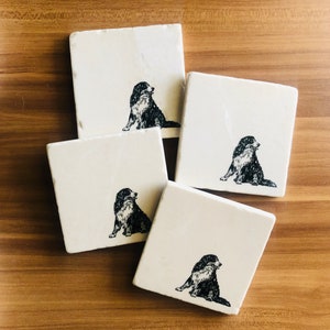 Bernese Mountain Dog Coasters ~ Bernese Mountain Dog Gift ~ Housewarming Gift ~ Bernese Mountain Dog Lover ~ Bernese Mountain Dog Berner Mom