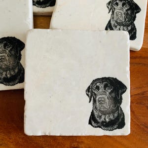 May include: Four white square coasters with black and white illustrations of Labrador Retrievers. The coasters are made of marble and have a smooth, polished surface.
