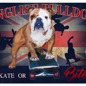 English Bulldog Skate or Bite Dog Metal Sign 24x16 image 2