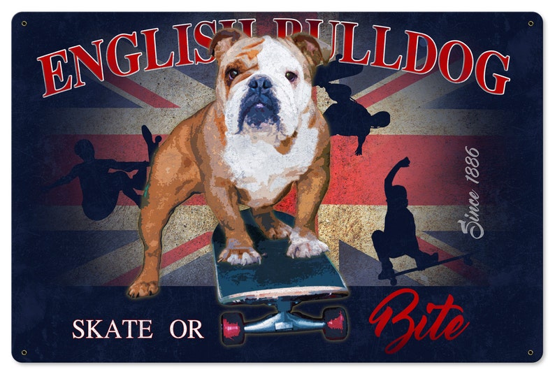 English Bulldog Skate or Bite Dog Metal Sign 24x16 image 2