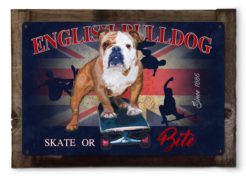 English Bulldog Skate or Bite Dog Metal Sign 24x16 image 1