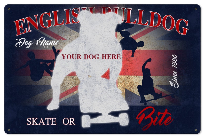 English Bulldog Skate or Bite Dog Metal Sign 24x16 image 3