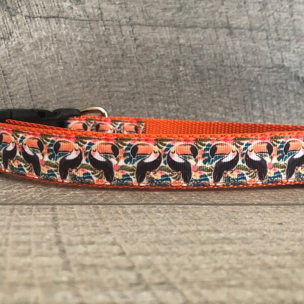 Dog Collars Etsy
