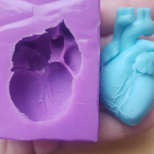 Large 3D Anatomical Heart silicone mold - 60 mm