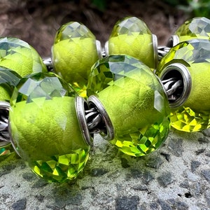 Perle hydro vert printemps image 6