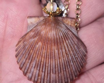 Dark Mermaid Scallop Shell Necklace