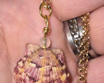 Mini-Sunburst scallop shell necklace