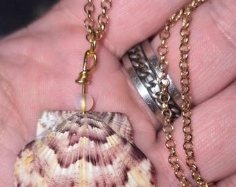 Sunburst Scallop Shell Necklace