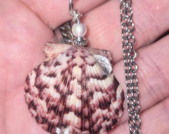 Natural Royal Purple Scallop Shell Necklace