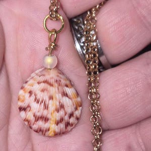Mini-Sunset Scallop Shell Necklace