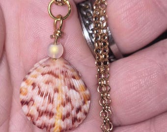 Mini-Sunset Scallop Shell Necklace