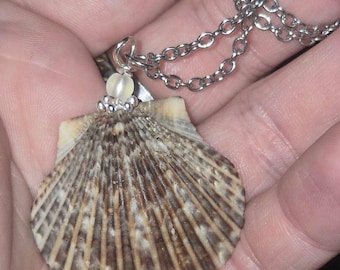 Scallop Shell Necklace