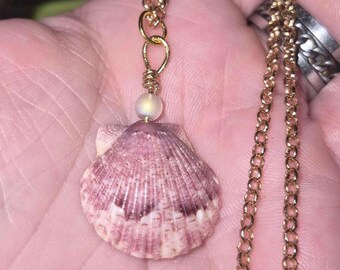 Rose petal hue Scallop Shell Necklace