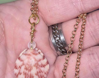 Blushing Pink - Scallop Shell Necklace