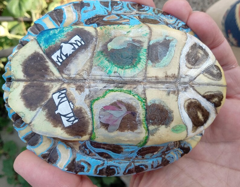 Decorated Painted East-meets-west Turtle Shell & Rattle Native American ...