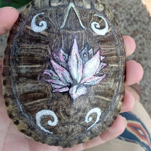 May include: A turtle shell painted with a pink and white lotus flower and white swirls. The shell is brown and has a natural texture.