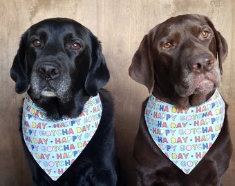 Happy Gotcha Day snap on bandana dog bandana pet bandana