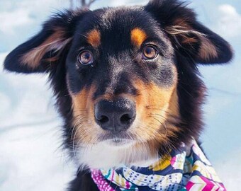 Custom BANDANA slip on collar bandana snap on bandana dog bandana pet bandana