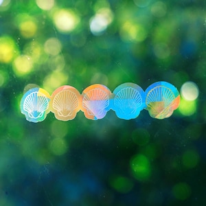 Suncatcher | Seashells Window Cling Sun Catcher | Cancer Research Donation | Rainbow Maker Prism Decal