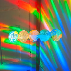 May include: A decorative seashell garland with five translucent shells. The shells are illuminated with vibrant rainbow light patterns, creating a colorful display. The shells are white with a detailed shell design.