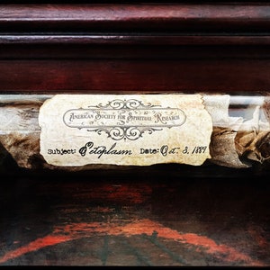 Ectoplasm Sample