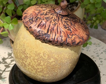 Ceramic Acorn