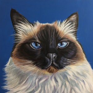 Pet Remembrance, pet bereavement gift, custom made cat portrait using acrylic on a gallery wooden panel, 10x10