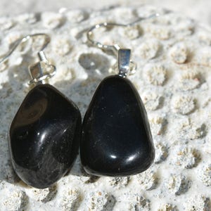 May include: A pair of black onyx gemstone earrings with silver hooks. The stones are smooth and polished, and the earrings are a simple and elegant design.
