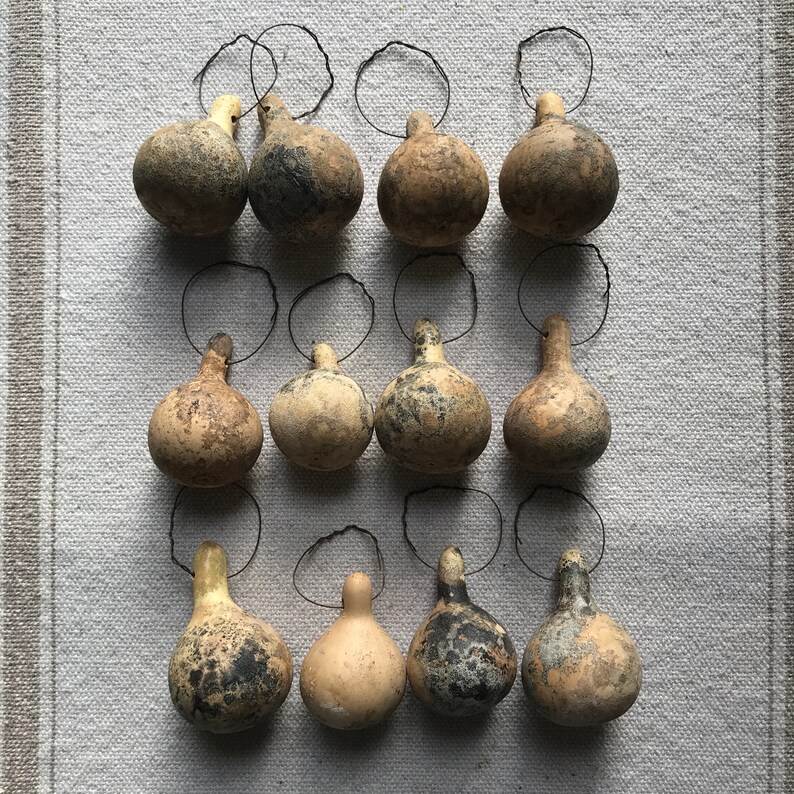 12 Primitive Dried MiniGourd Ornaments Bowl Fillers Cabin Etsy