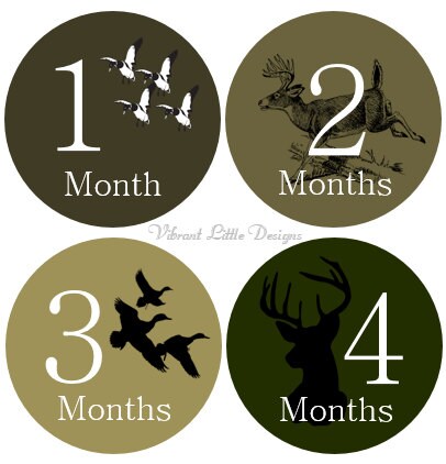 Monthly Milestone Stickers Boy, Monthly Baby Stickers, Month to Month…