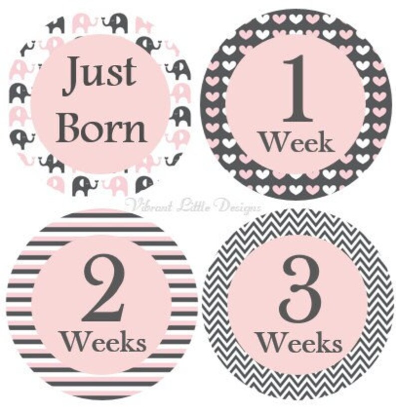 Elephant-baby Girl Monthly-milestone Stickers-monthly Baby - Etsy