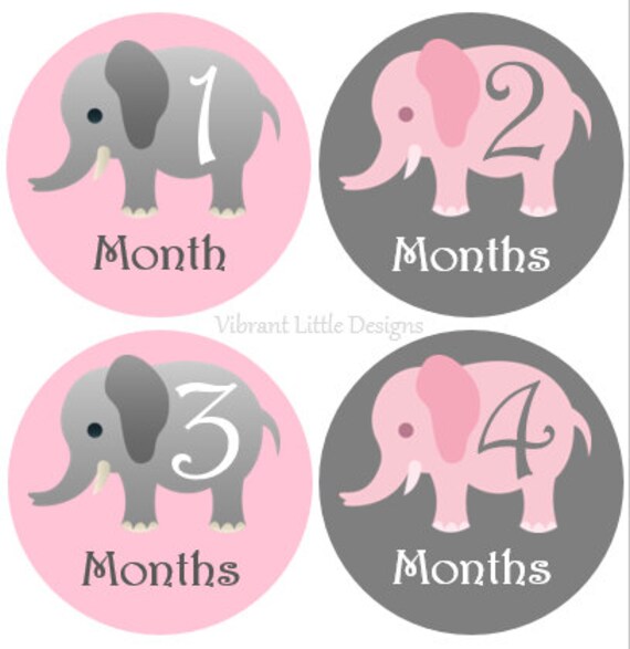 baby month stickers girl