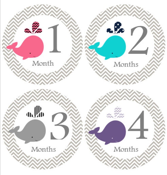 baby month stickers girl