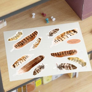 Feather Stickers, Red-Tailed Hawk Stickers, Red-Tailed Hawk Feathers, Hawk Feathers, Watercolor Feathers, Painted Feathers