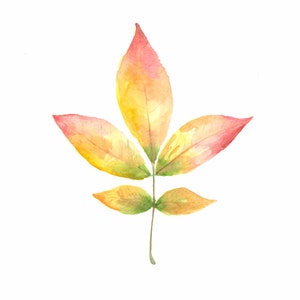 Fall Leaves, Elder Leaf, Painting, Fall Decor, Autumn Leaves, Autumn, Welcome Fall, Colorful Leaves, Autumn Decor, Leaf Watercolor image 1