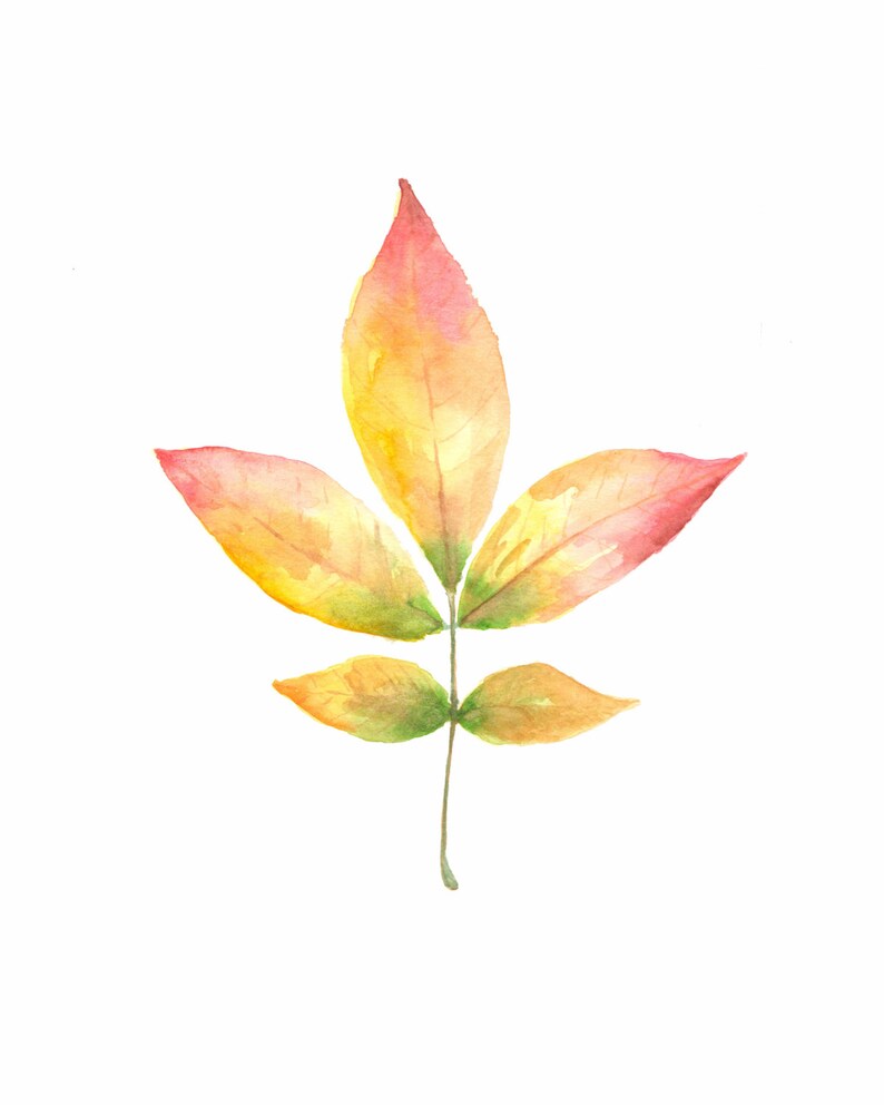 Fall Leaves, Elder Leaf, Painting, Fall Decor, Autumn Leaves, Autumn, Welcome Fall, Colorful Leaves, Autumn Decor, Leaf Watercolor image 1