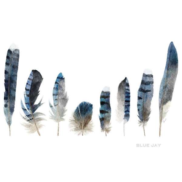 Feather Art Print, Feather Watercolor Art, Blue Jay, Blue Jay Feather Painting, Feather Print, Blue Jay Feather, Jay Art Boho, Blue Feathers