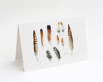 May include: Watercolor painting of a collection of feathers in various shades of brown, black, and white. The feathers are arranged in a random pattern on a white background. The text "AMERICAN KESTREL" is written in black at the bottom of the image.
