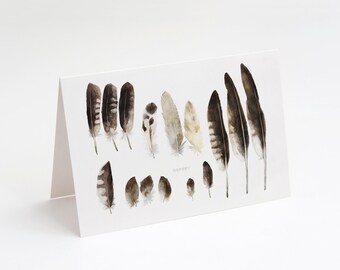 May include: A white card with a watercolor illustration of various feathers in shades of brown, gray, and white. The feathers are arranged in a row across the card.