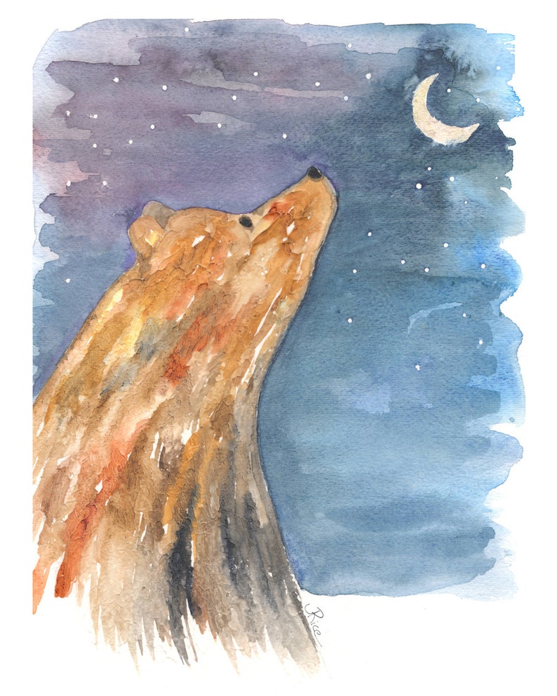 May include: Watercolor painting of a brown bear looking up at a crescent moon in a starry night sky.