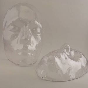 May include: Two clear plastic face masks, one with a more detailed facial structure and the other with a more simplified design.