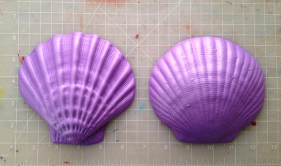shell bra