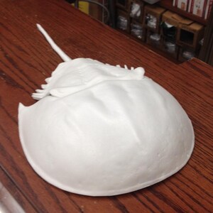 Foam Horseshoe Crab, 8 Across, 15 Long image 3