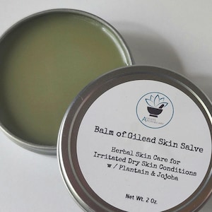 Plantain and Balm of Gilead Skin Salve