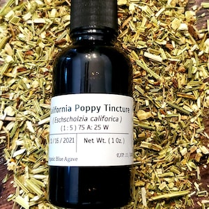 California Poppy Flower Tincture (Eschscholzia califorica)