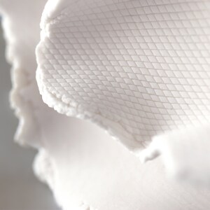 May include: Close-up of a white, textured surface with a diamond pattern. The surface is slightly curved and has a rough, uneven edge.