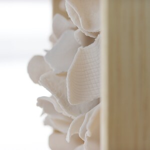 May include: A close-up of a white ceramic wall sculpture with a textured surface. The sculpture is mounted on a wooden frame.