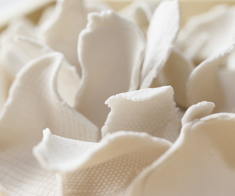 May include: Close-up of a white, textured, organic material. The material is arranged in a cluster of overlapping, irregular shapes, creating a soft, abstract design.