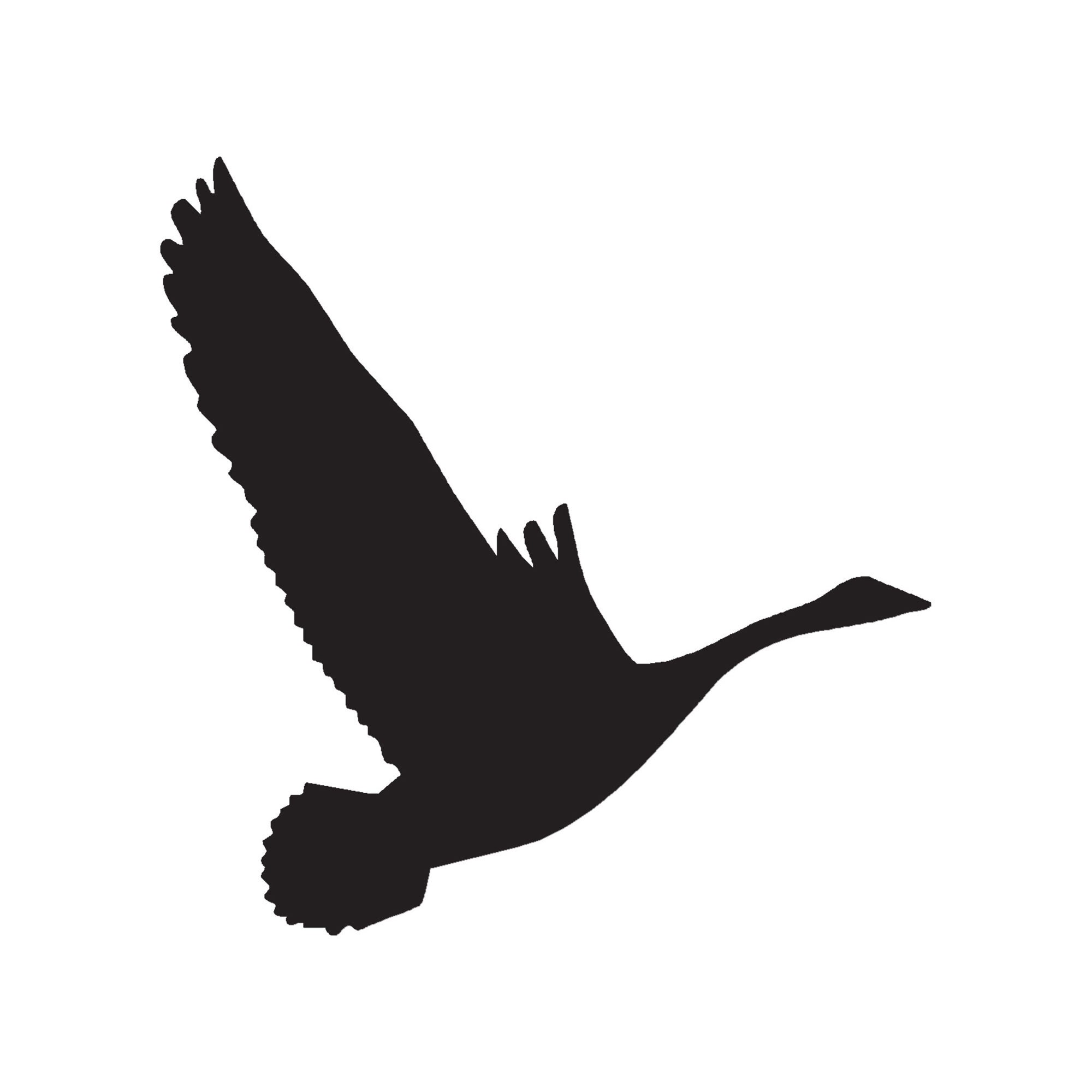 Canadian Goose Swan Flying - Vinyl Decal Sticker - 3 Sizes - 9 Solid Colors - ebn140