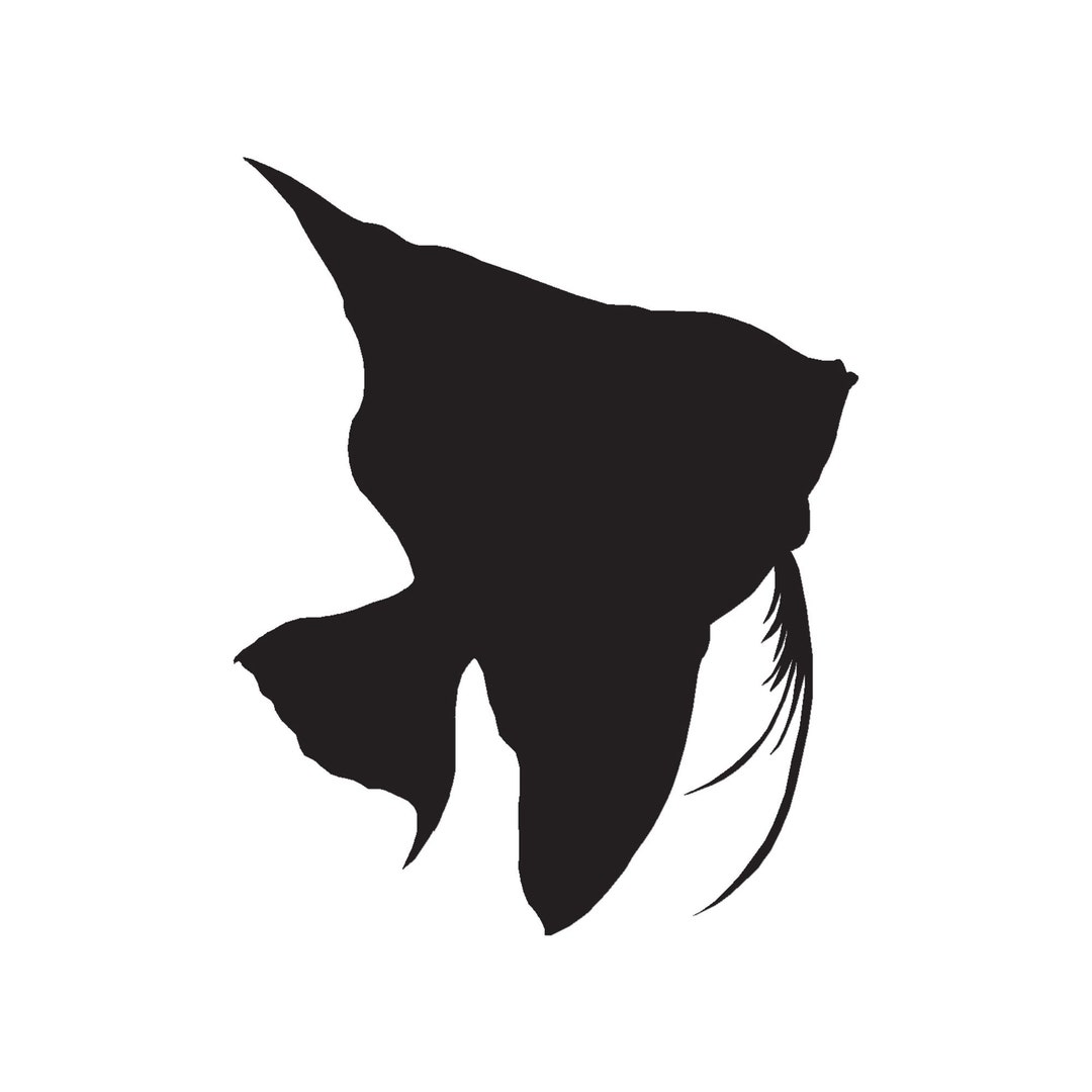Clownfish Angel Fish - Vinyl Decal Sticker - 3 Sizes - 9 Solid Color ...